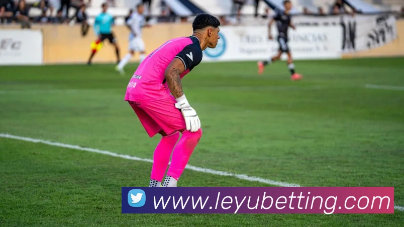 乐鱼体育发展历程